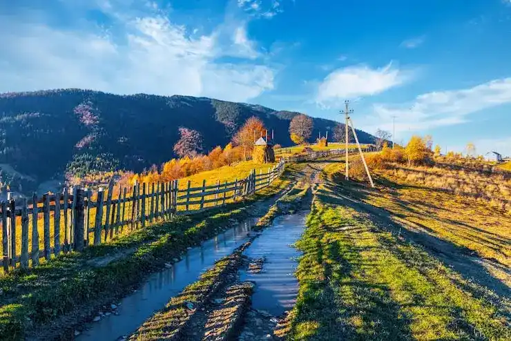 未婚子女申请日本移民，需提供什么材料证明“未婚”状态？