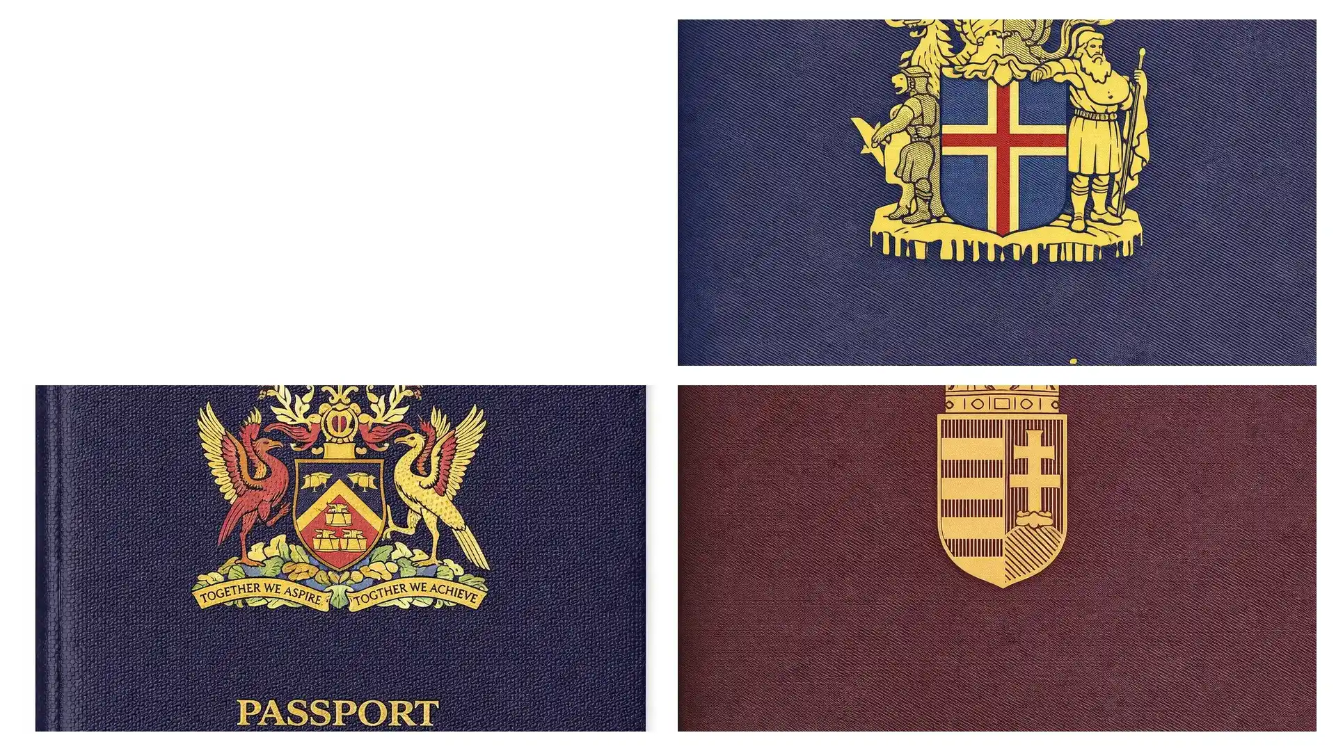 2026年多米尼克申请建议：为什么优先选择捐款模式？