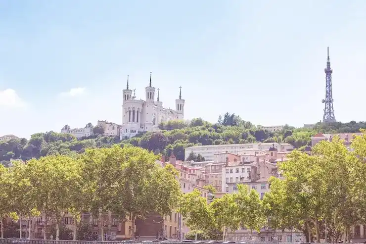 2026年移民律师洛杉矶的选择