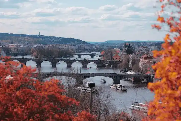 丹麦护照的防伪标识有哪些？如何辨别护照真伪？