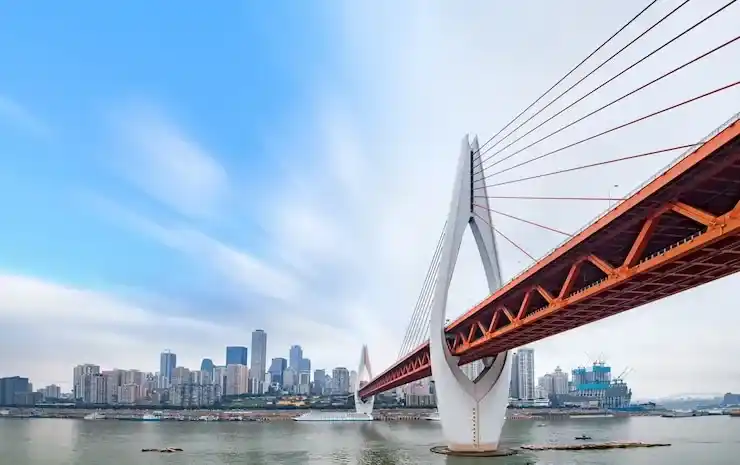 香港高才C类条件，申请香港高才的不同类别解析