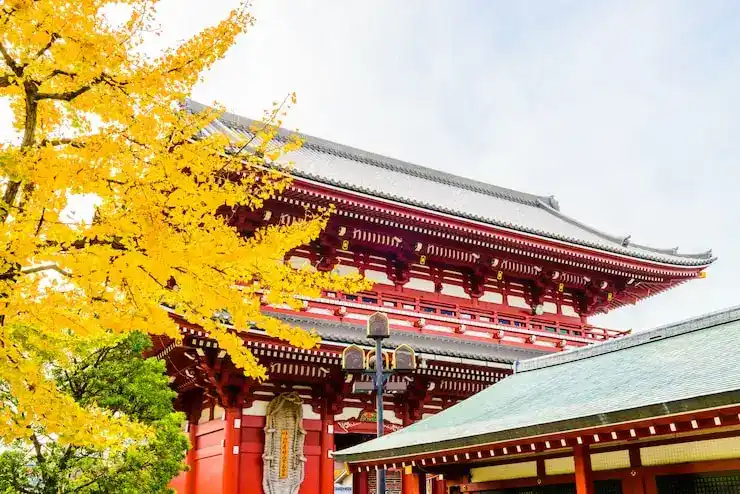 日本移民政策分析及未来趋势