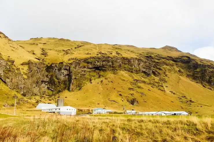 移民爱尔兰后的社会福利与居住优势