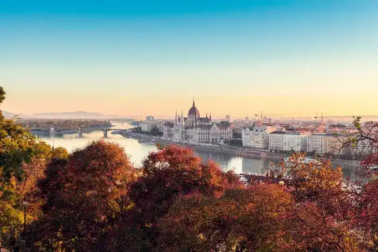 圣卢西亚移民的核心项目是什么？2025年政策有调整吗？