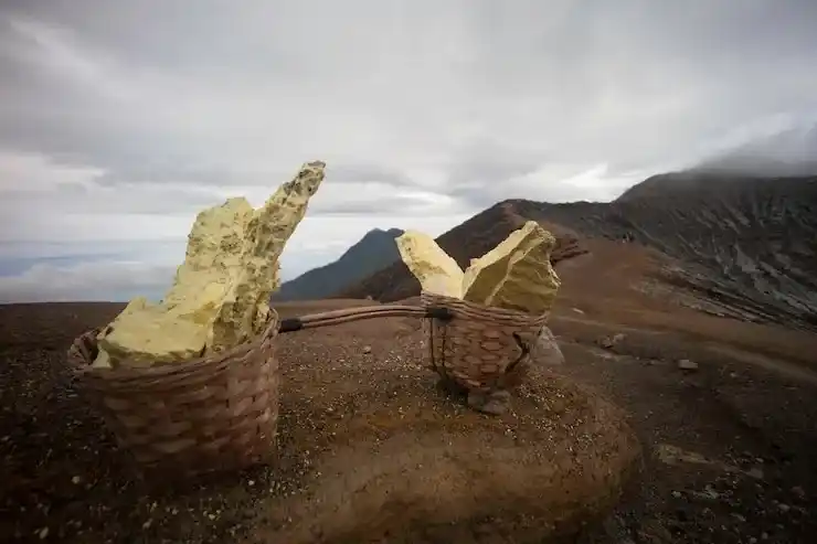 塞浦路斯移民