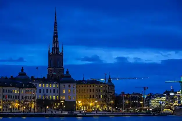 日本移民申请材料造假被发现后，会有什么法律后果？