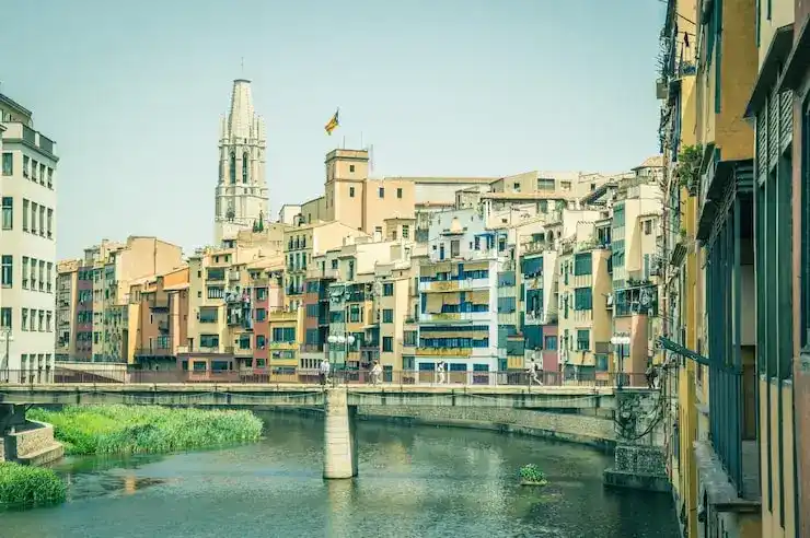 如何辨别希腊移民中介的专业性，避免陷入收费陷阱与误导性承诺