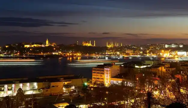 入籍西班牙后，能否主动放弃西班牙国籍？流程是什么？