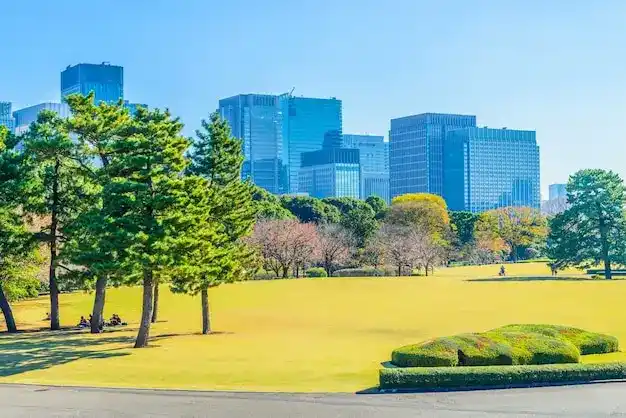 4-6个月极速护照萨尔瓦多：捐款护照门槛、全程办理流程攻略