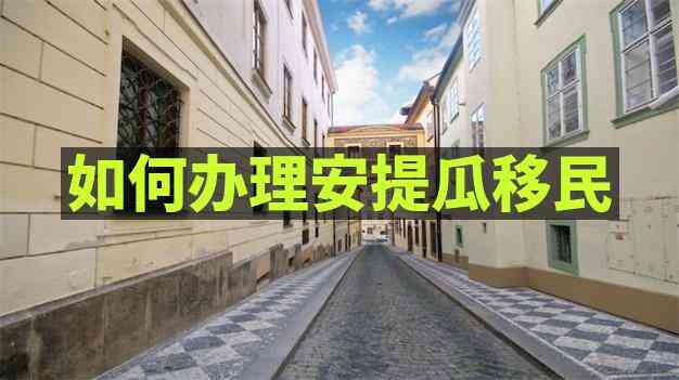 安提瓜移民条件
