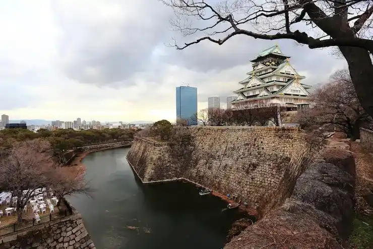 的移民