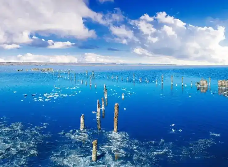 希腊移民非主要申请人需要无犯罪记录证明吗