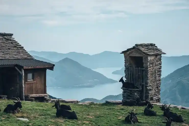 土耳其移民政策解读，购房移民的核心规则与申请条件