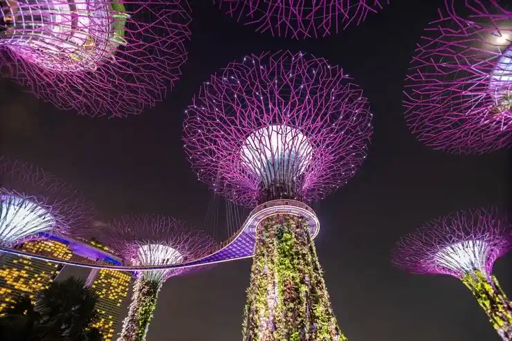 中国香港身份是否需要语言考试，别漏了这几项