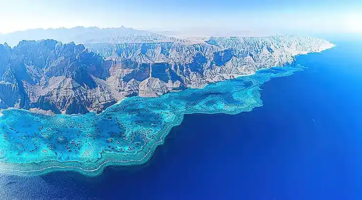 纽约投资移民流程与项目详解