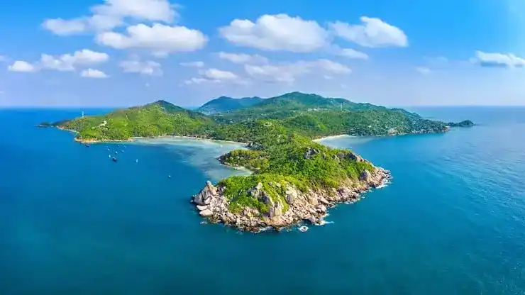 保加利亚移民申请的文件翻译错误或不规范，会导致拒签吗？