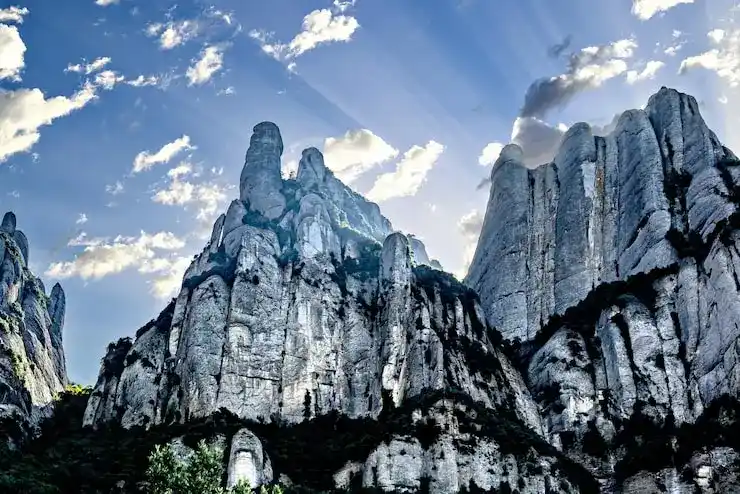 外国驾照在德国可以使用多久？如何转换为德国驾照？