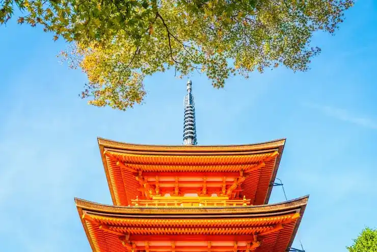 塞浦路斯投资移民的资金配置与投资分析