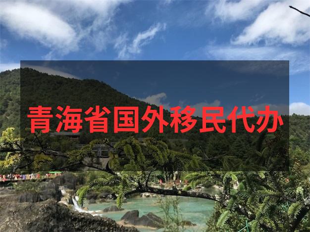 2025日本投资移民500万日元注册资本的真实合同