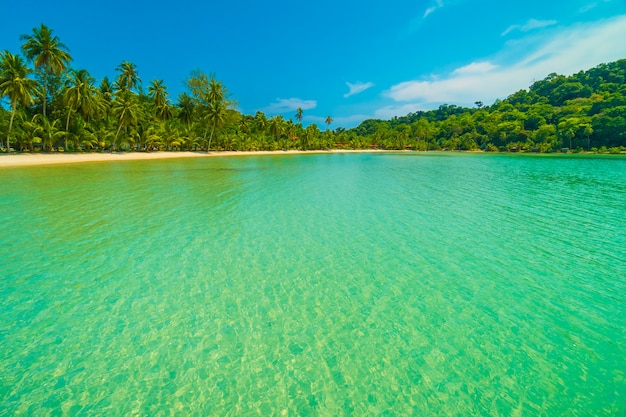 桑马省卢甘维尔Luganville Sanma Vanuatu商业环境测评