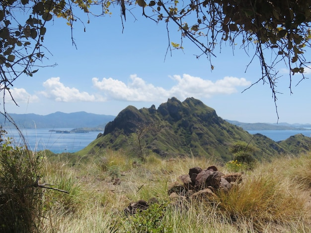 Vanuatu