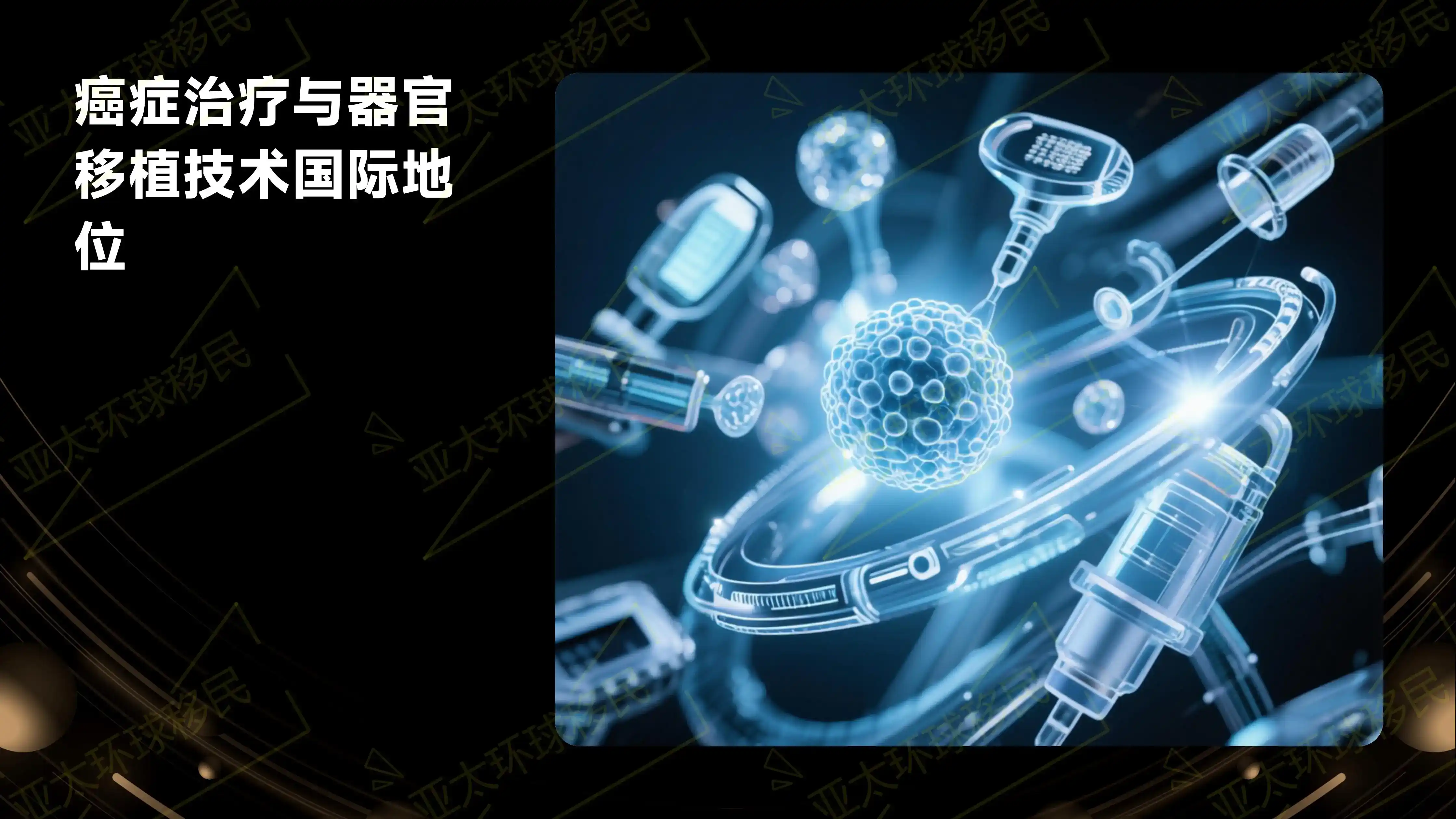 土耳其第二护照续期换发流程，多久换一次证？