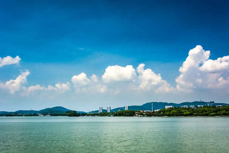 代办移民机构风险预警官方合作名单与灰色操作对比
