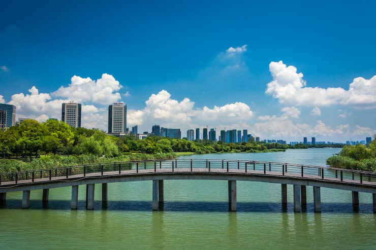 多米尼克移民后的生活质量与教育资源