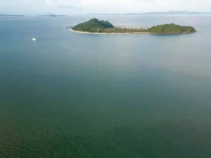 移民