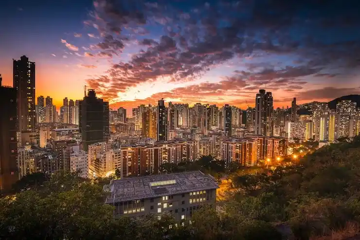 2026香港进修移民热门专业：商科、社科、教育类录取门槛