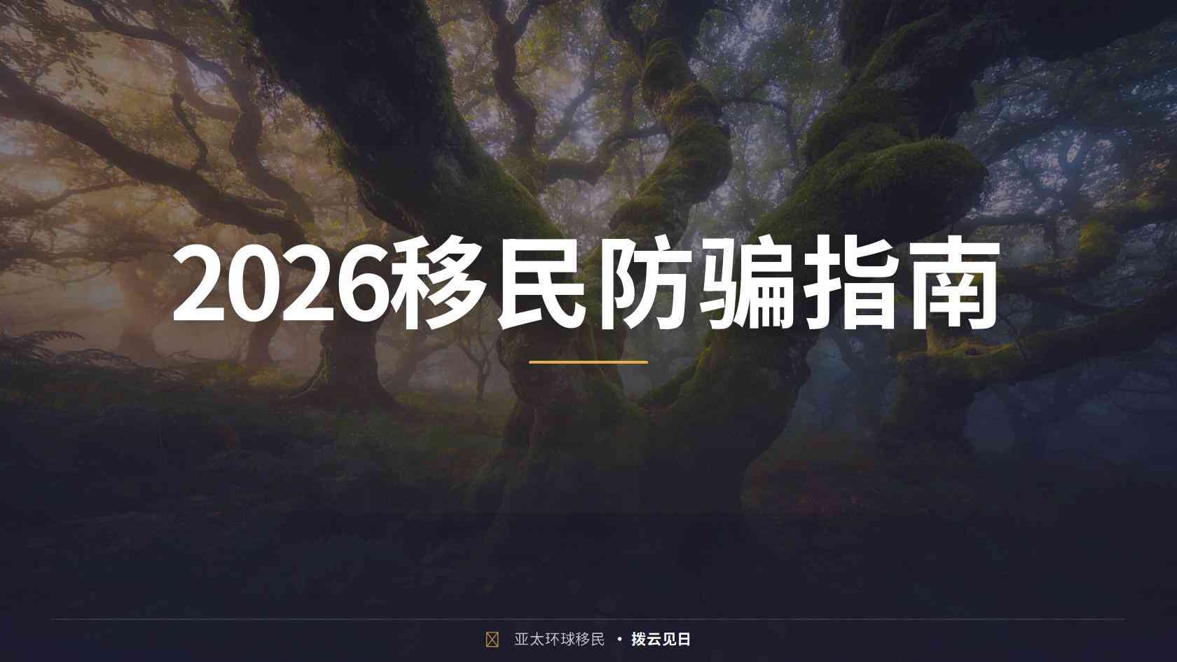欧盟绿卡有哪些常见路径？申请门槛、身份区别与选择思路