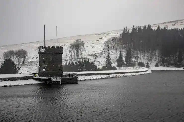 有美国绿卡的人还能保留中国国籍吗？美国绿卡与双重身份