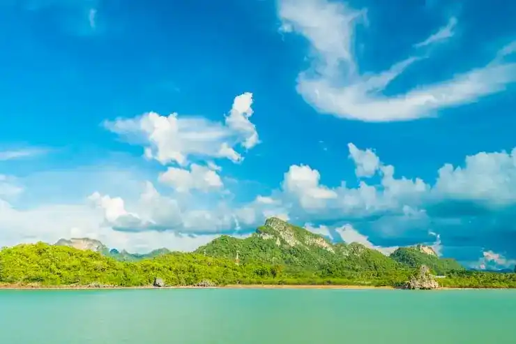 新移民的生活挑战与应对策略