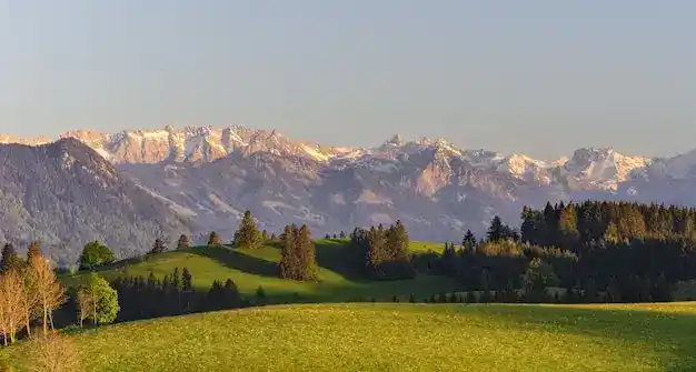 巴拿马购房移民后期费用有哪些？续签永居成本