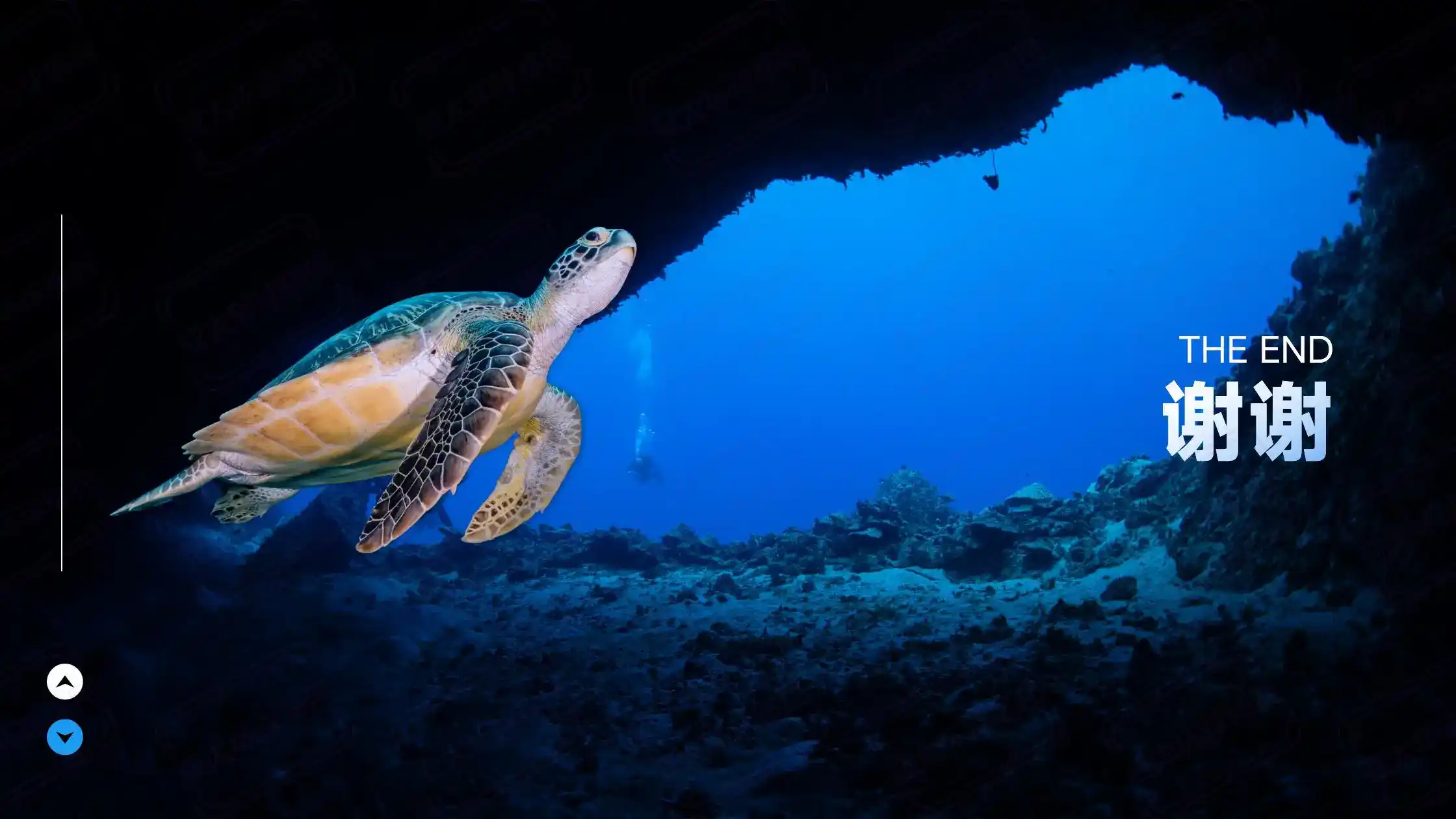 2026瑞士家庭团聚签证，配偶5年永居孩子12岁直接拿C？