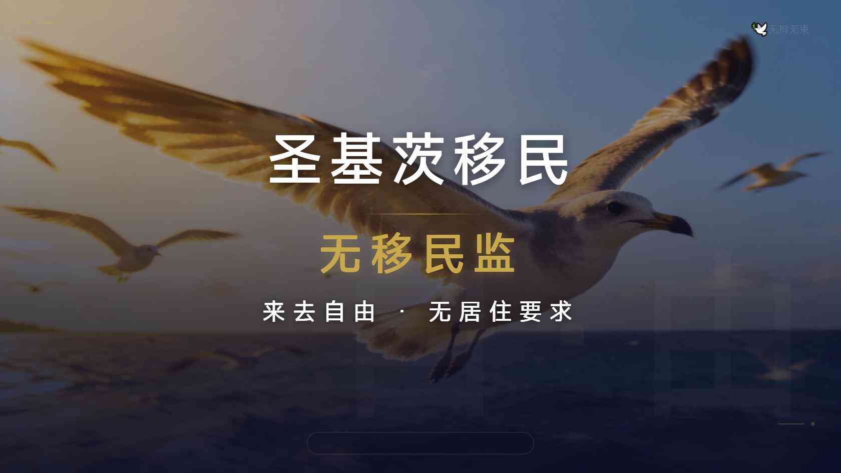 截至2026年9月，圣基茨护照申请条件相比过去有哪些变化