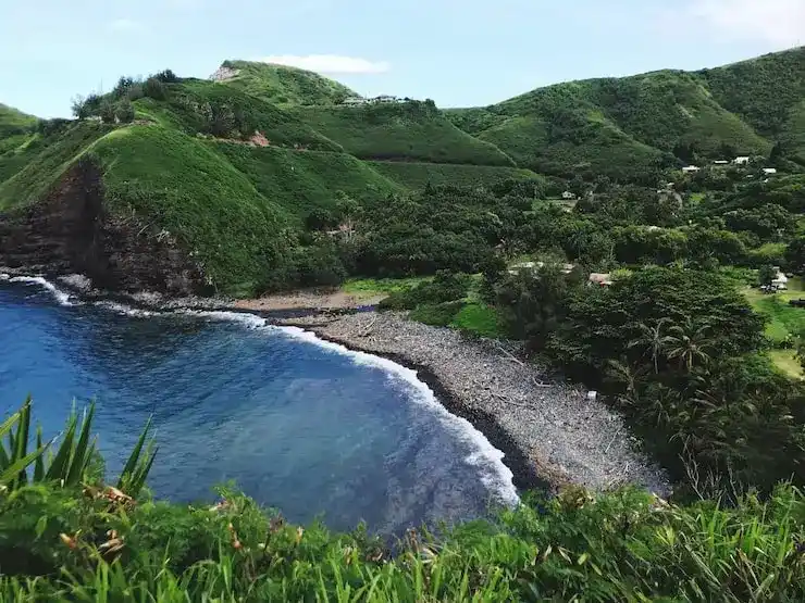 圣卢西亚移民申请步骤清晰指引高效办理