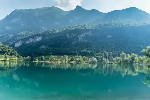 移民
