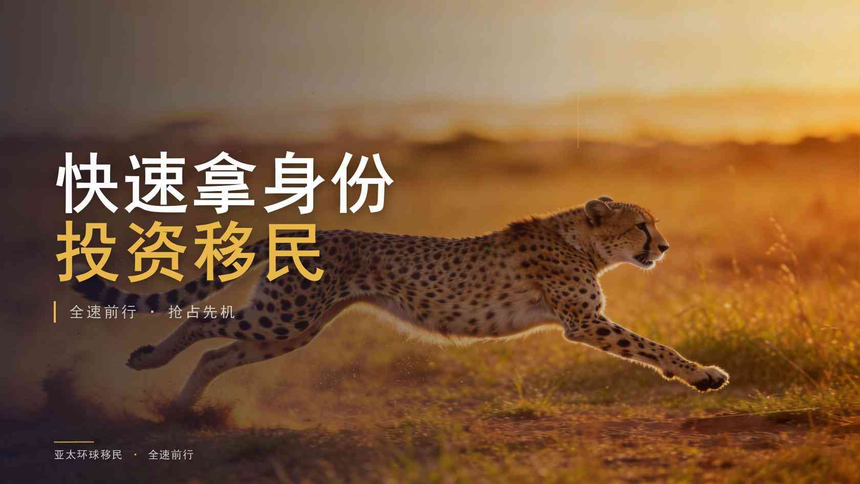 三代移民需要提前了解什么？条件、流程、费用与风险说明