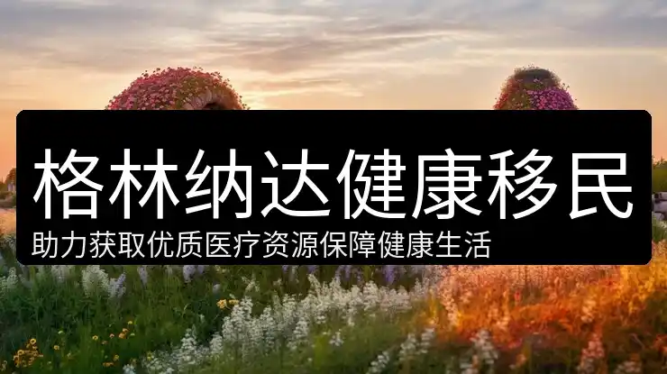 做跨境贸易，有个格林纳达身份会不会更方便？