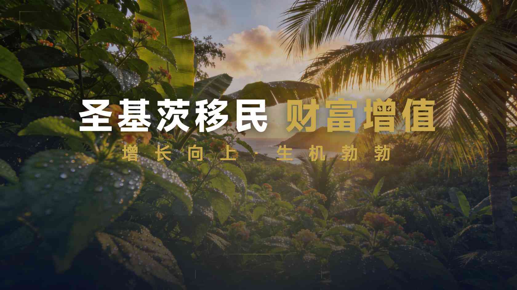 圣基茨护照快速办理可信吗：可以加快准备，不能控制官方审查