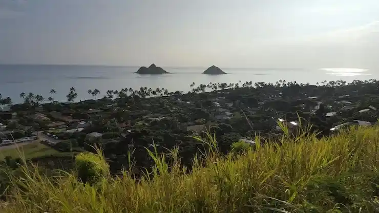 找机构办理瓦努阿图移民，一定要注意这几点！