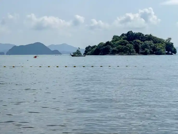阿根廷移民局在线预约步骤
