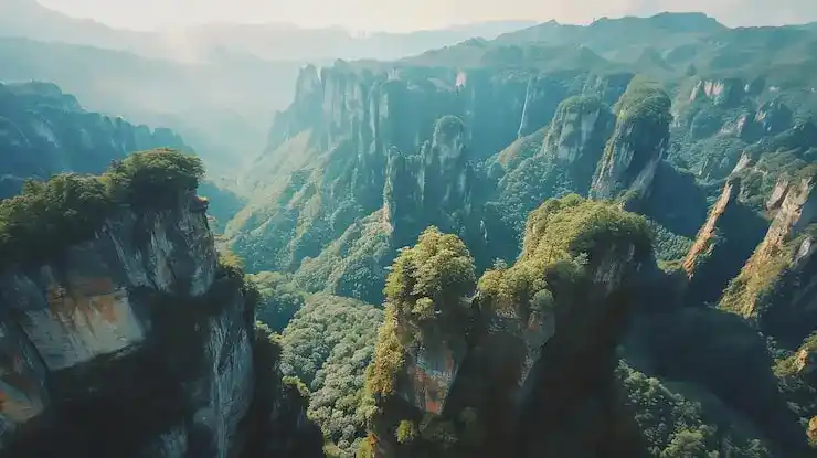 葡萄牙居留卡持有者可以享受哪些领事保护与协助服务？