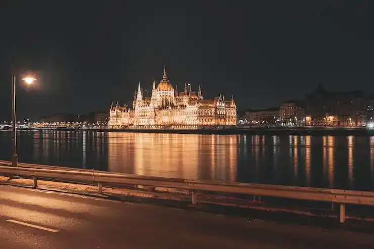 入籍挪威后，能否主动放弃挪威国籍？流程是什么？