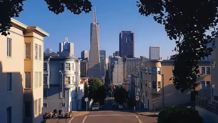 圣卢西亚移民教育规划家庭高性价比选择