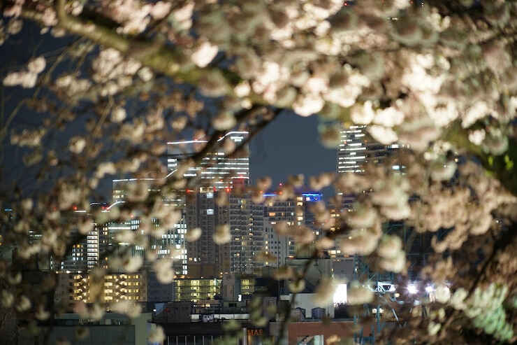 葡萄牙