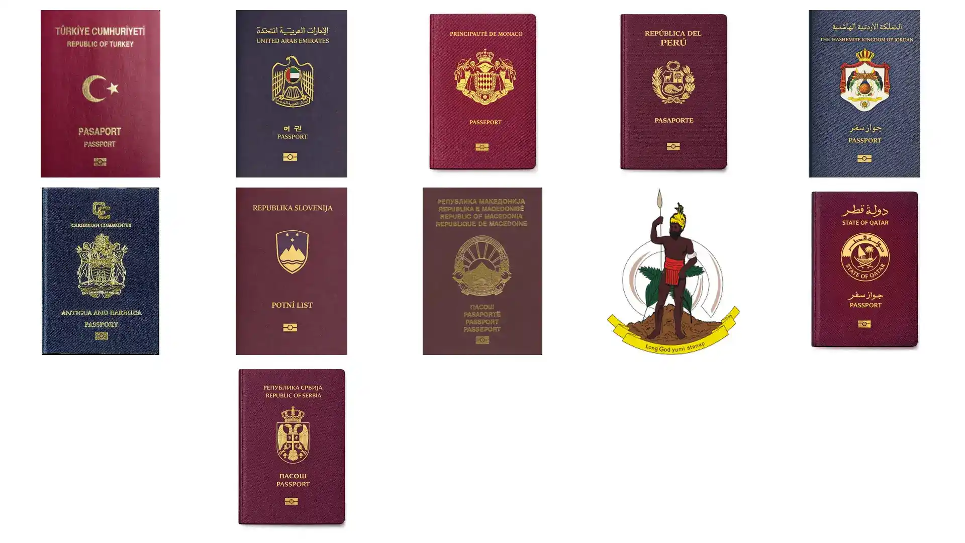 2026埃及移民政策解析