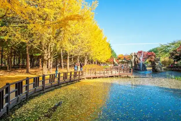 澳门投资移民官方收费未出台