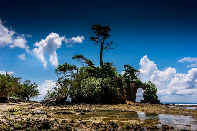亚苏尔山Vanuatu Mount Yasur徒步线路的移民体验日记